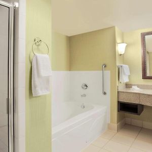 One-Bedroom King Suite
